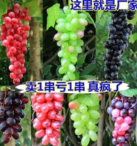 Simulation raisin fake grape simulation grape leaf pipe wall hanging decorative flower Vine simulation grape string