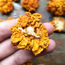 Selected golden ear dry goods 250g Yunnan yellow ear brain ear wild Basswood golden ear non-silver ear dessert raw materials