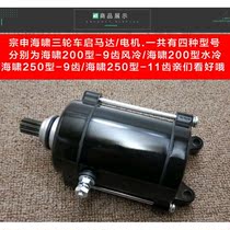New tricycle motorcycle motor Zongshen 200 250 tsunami 9 teeth 11 teeth air-cooled water-cooled starter motor