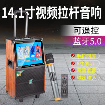 22 inch square dance video audio rod audio High-power wireless microphone singing machine K song Bluetooth audio ktv