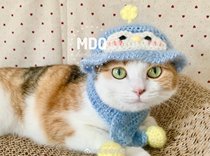 MDO little penguin suit handmade cat headdress adult cat size hair about a week