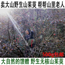Dogwood Wild dogwood 500g Ong Pishan dried corn meat Chinese herbal medicine seedless new Funiu Mountain self-picked dogwood