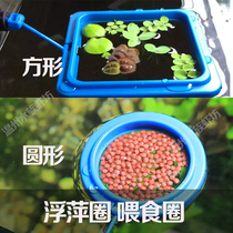  Fish tank feeder Duckweed circle Aquarium feeder Feeding circle Small fish tank feeding Feeding fish food