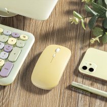 Wireless Bluetooth Mouse Mute Rechargeable Girls for Apple pro Lenovo Huawei Microsoft surface Asus Dell HP Laptop Office Mouse Cute Battery Dual Mode