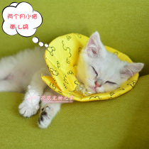 Young Cat Pet Anti Bite collar Elizabeth Circle hamster Squirrel Dragon Cat Dutch Pig Rabbit Protection Headgear Soft