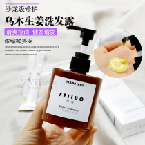 Hair loss saviour丨 Salon-grade feiluo Ong Luo ebony ginger shampoo 250ml Anti-dandruff oil control solid hair