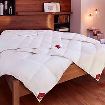 Brinkhaus goose down pillows 2 double goose down 1