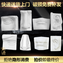 David facial features Solid plaster sculpture Hanging face image Plaster eyes ears Nose mouth Sketch painting model