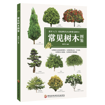 Common Tree Illustrated Book Begins Easily Distinguish 282 Common Tree Genuine Books Garden Plant Seedling Book Common Tree Varieties Introduction Tree Shrub Cryptomeria Tree Illustrated Book