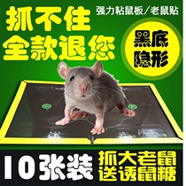 Board large sticky board patch Sticky post paper Sticky flake mouse Superglue Cockroach sticky rat trap patch a