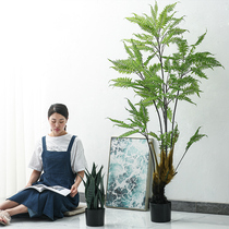 Simulation of large potted phoenix tail Fern living room floor decoration Nordic style green planting loose tailed sunflower TV cabinet porch flower pot
