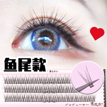 Fish Tails Fake Eyelash Single Tuft Grafting Sectional Duo Hair Snowy Eyelash Natural Emulation Female