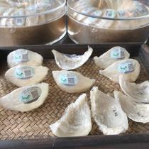 Indonesian imports Anadromous code Yancoise Pregnant Woman Natural Nourishing Golden Silk Swallow White Swallow Gift Box 100g
