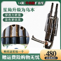 Fenghai famous Sheng musical instrument beginner 14 spring PA Fang Sheng factory direct national blowing musical instrument send package