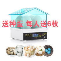 Automatic incubator Small household automatic intelligent chicken incubator Chicken duck pigeon parrot Quail egg hatching box
