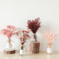 Starry dried flowers Real flower ornaments small fresh ins desktop home soft decoration Flower vase Bedroom living room