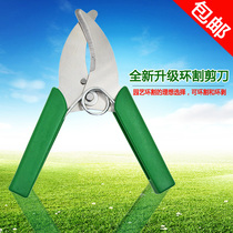 Gardening fruit tree ring peeling knife ring cutting and cutting seedlings Vineyard forest cutting Fruit tree ring peeling and cutting bark scissors Citrus