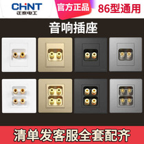 Zhengtai Acoustic Socket Panel 86 Type Multimedia Speaker Connector Two-digit 2 Holes Four 4 Audio Wiring Concealed