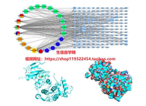 Chinese medicine compound network pharmacology joint Molecular docking routine video tutorial-Shengxin self-study network multi-traditional Chinese medicine