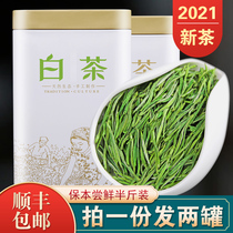Authentic Anji white tea 2021 pre-rain super new tea Alpine green tea bulk tea gift box canned 250g