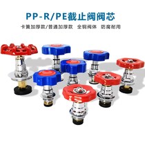 PPR PE shut-off valve spool All copper valve core water pipe pipe 46 points thickened switch 25 gate valve plumbing accessories