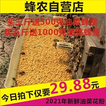 2020 Rapeseed pollen dried pure rapeseed bee pollen natural no added unbroken wall quality fresh food