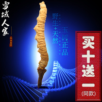 Tibetan Cordyceps Sinensis Naqu Premium natural Yushu authentic unbreakable 4 roots 1 gram Qinghai Cordyceps