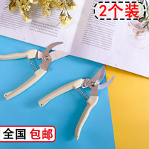 Fruit branch scissors Flower branch scissors Thick branch twigs Multi-functional grafting scissors Bonsai knife scissors small scissors Garden fruit picking gardening