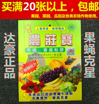 Dachau Farm Treasure Drosophila trap plate trap Fruit fly Melon fly Orange small fly Needle bee pest viscose