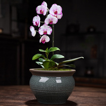 Phalaenopsis special flower pot ceramic kiln retro home succulent plant green plant potted old pile bonsai pot desktop