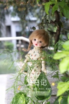 Chicory baby clothes-bjd6 points cheongsam (Pinellia 4 colors)