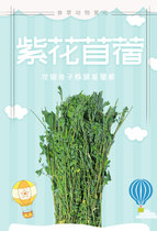  Alfalfa 2021 new grass Purple flower Rabbit Chinchilla forage Rabbit food Guinea pig feed Hay Gross weight 1000 grams