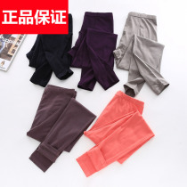 Red Bean Mens Autumn Pants Slim Fit Young Modell Cotton Lady Mid-Waist Single Piece Manmade Underpants Underpants Autumn Winter Cotton Sweater Pants