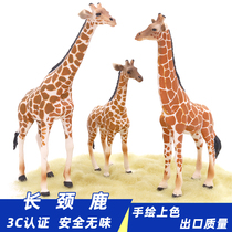 Solid simulation giraffe model wild animals small giraffe plastic childrens toys gift ornaments boys and girls