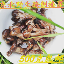 Northeast Daxing Anling Mountain wild fresh hazelnut mushroom cured hazelnut mushroom with wild fungus 500 gr