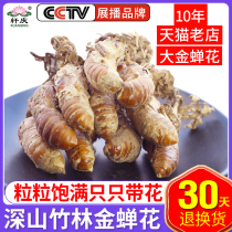 5 bottles] Golden cicada flower wild cicada flower grass Chinese medicinal material cicada flower Cicada flower Cordyceps powder Golden silkworm flower known flower non 500g