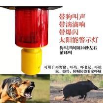 Outdoor scares the wild boar deities with dogs called the sounds solar exorcism scare birds night-time horn blasting warning lights