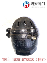H12X cast iron wire buckle bottom valve one-way check valve internal thread pumping water pump bottom valve DN20 ~ DN100