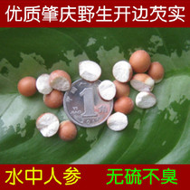 Selected high-quality Zhaoqing wild chicken head rice 500g large Gorgon rice seed 2kg cooked Gorgon black bean powder