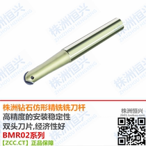 BMR02-020-G25-S M L Zhuzhou Diamond Ball head profiling fine milling cutter Rod ZCCCT