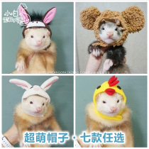 * Super cute little hat * Angoru pet Marten ferret clothing ferret accessories angroma Cher Little Dragon Mink