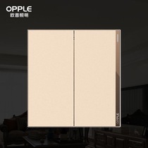 Aup Lighting Wall Switch T07 Series 1021A-F-J7-Two opening single