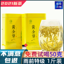 Anji White Tea 2021 New tea Golden Bud tea authentic before the rain premium gold tea green tea gift box canned 500g