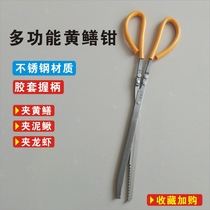 Eel clip Stainless Steel Eel pliers Loach crab clip Sea artifact catch special tool fish control