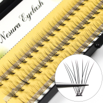 Rice straw mans own grafting sectional false eyelash natural grafting eyelash single plant with single cluster to grow a woolen eyelash