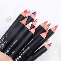 Lip Pen Lipstick Lip Pen Women Waterproof Long-lasting Brand Nude Color Do Not Dip Cup No Decolation Dip Color Matte Europe and America