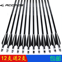 Bow and arrow Arrow A dozen arrows Novice practice arrows Glass fiber arrows Pure carbon arrows Anti-curved brush shooting sports interchangeable head