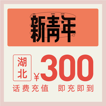China Telecom official flagship store Hubei mobile phone recharge 300 yuan Telecom phone bill direct charge fast charge recharge