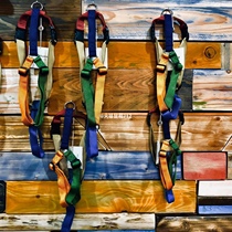 Fireball rat and 712 Italian haqihana limited edition of the typeface dog chest back Rotterdam Rigata