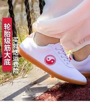  Pisces tai chi martial arts practice shoes mens and womens new sports competition childrens canvas beef tendon soft bottom non-slip wear-resistant